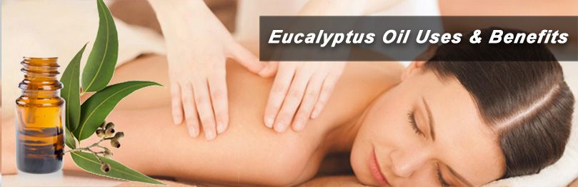 uses and benefits of eucalyptus oil