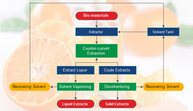 orange essential oil extraction method 