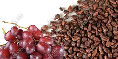 Grape Seed Oil Extraction Methods