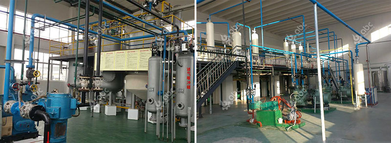Complete Large-Scale Flower Petal Essential Oil Extraction System