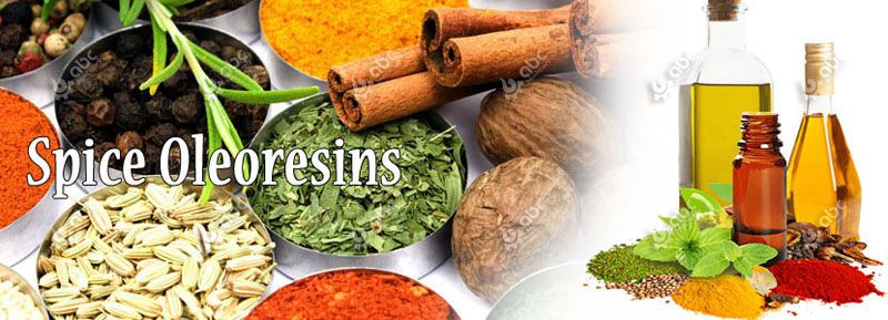 high quality spice oils and oleoresins